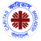final logo caritas 2010 updated